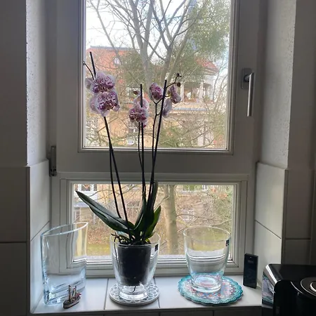 아파트 Helle Am Waldpark 드레스덴