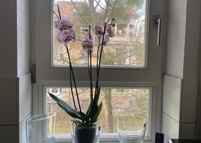 아파트 Helle Am Waldpark 드레스덴